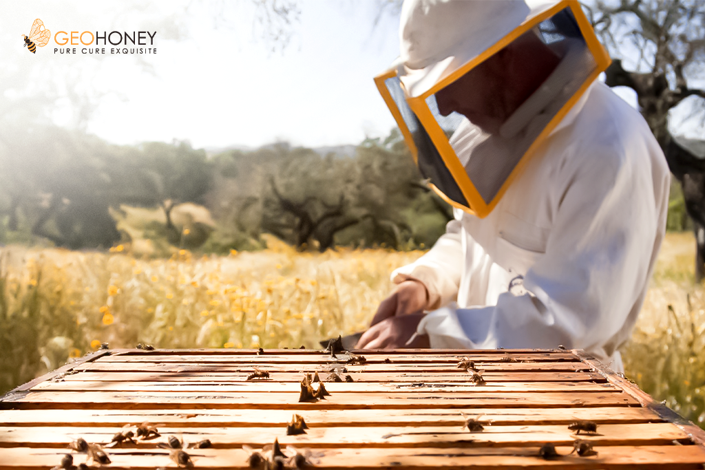 things to keep in mind while starting beekeeping in spring